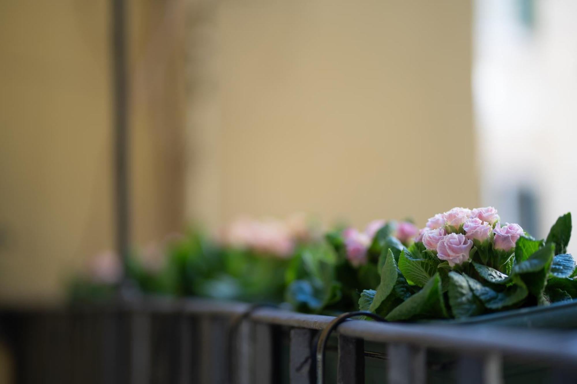 Pgrhome Croce Roma Exterior foto